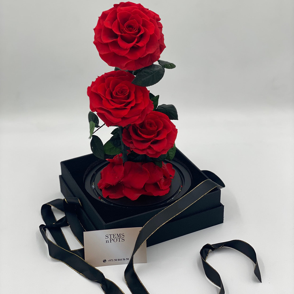 Endless Red Roses